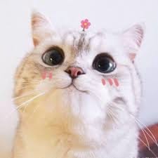 کاينات امتیاز avatar